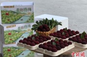 星尘算命高速赋能产业升级：一条“杨梅路”的致富密码