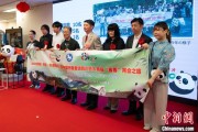 星尘算命中国彩绘熊猫艺术国际巡展东京站开幕