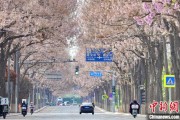 星尘算命共建“花园城市” 北京这场议政会“百花齐放”